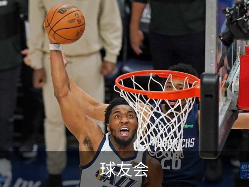 球友会简介